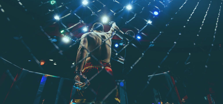 UFC Removes Cannabis From Banned Substances List