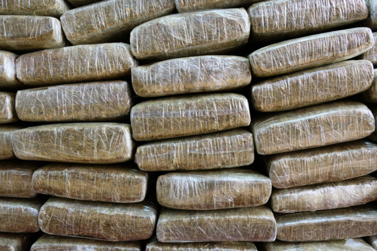 Wasted Weed: Canada’s Disposal of 3.7 Million Pounds of Cannabis Since 2018