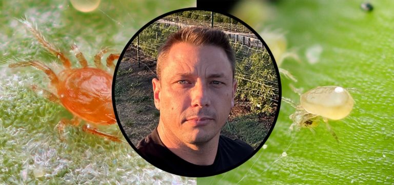 Andrew Maltby: Raising Predatory Mites for Integrated Pest Management