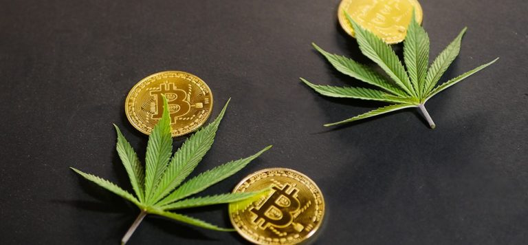 Bitcoin: the Obvious Financial System for a Thriving Cannabis Industry