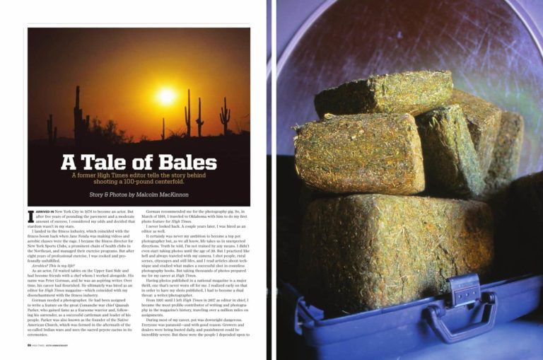 From the Archives: A Tale of Bales (2019)