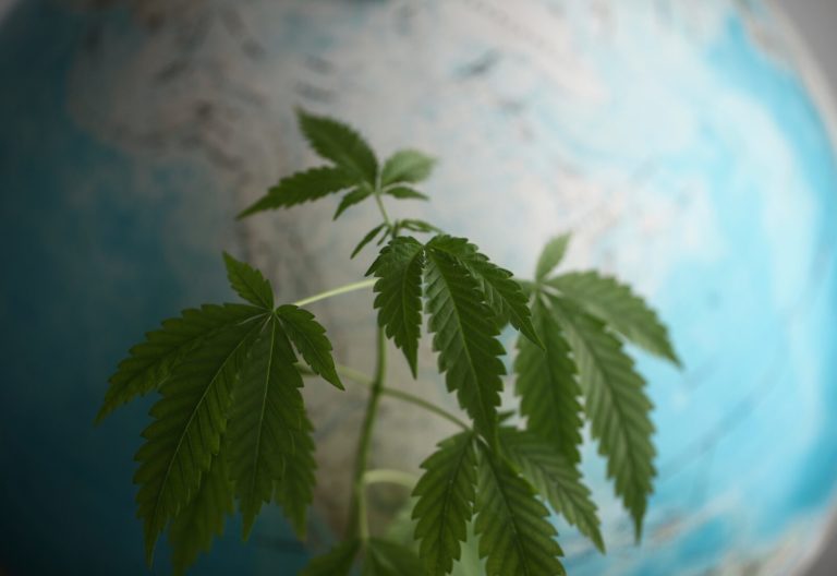 International Cannabis: Adams Lee, Vince Sliwoski on the Simply Trade Podcast