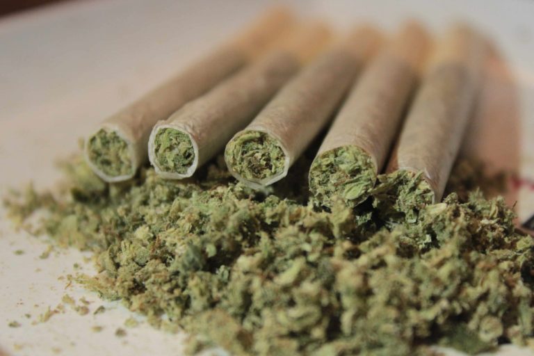 Ireland Government Approves a Nine-Month Delay on Cannabis Legalization Vote Ireland Government Approves a Nine-Month Delay on Cannabis Legalization Vote