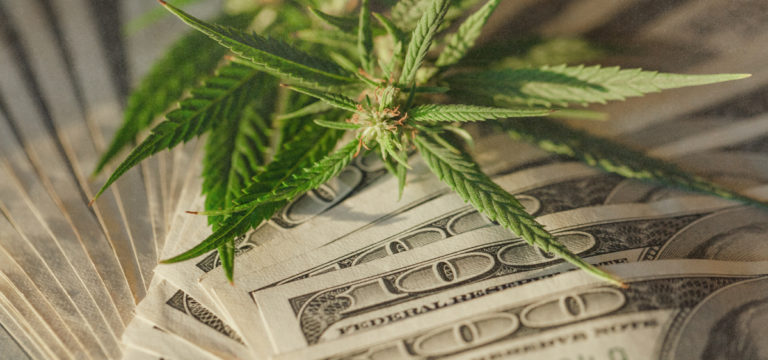 Michigan Cannabis Dispensaries Set $3B Sales Record In 2023 Michigan Cannabis Dispensaries Set $3B Sales Record In 2023