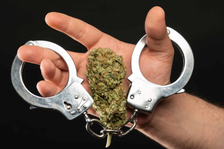 Mother Sues Tennessee Agencies for Using Cannabis Arrest To Separate Family Mother Sues Tennessee Agencies for Using Cannabis Arrest To Separate Family