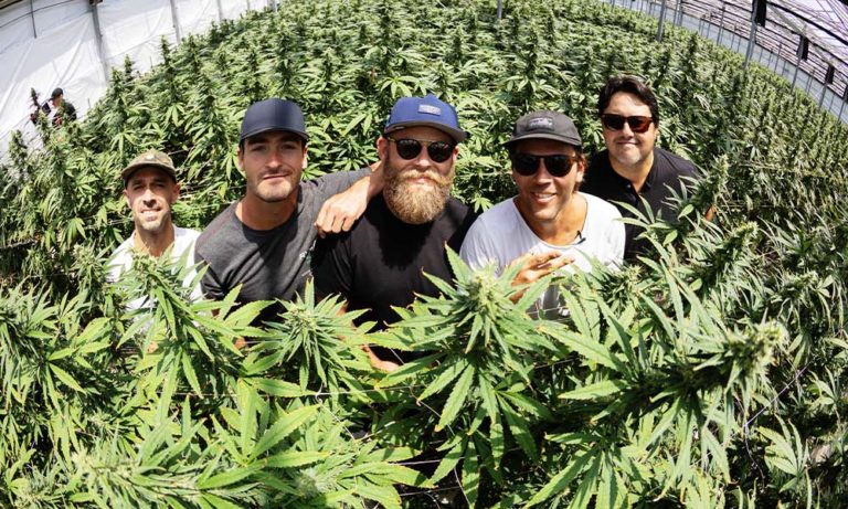 Reggae Bliss from SoCal Cannabis Collab