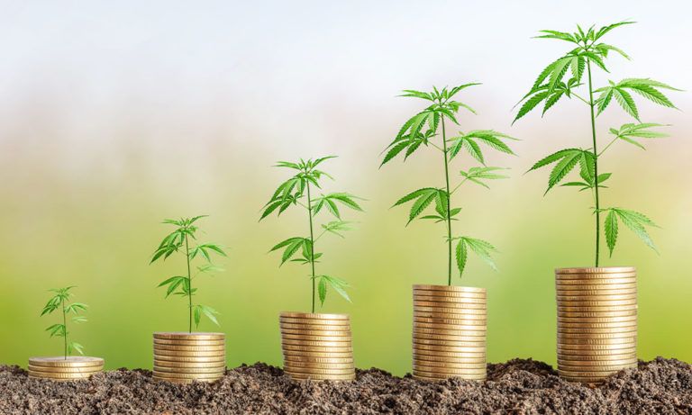 Solving Your Cannabis Accounting Needs Solving Your Cannabis Accounting Needs