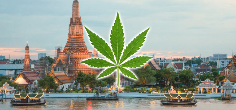 Thai Government Could Face ‘Thousands’ of Lawsuits Over Cannabis Policy Reversal