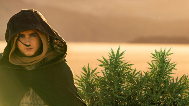 13 strains for spicing up your Dune 2 experience