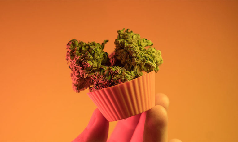 A Guide to Modern Cannabis Edibles