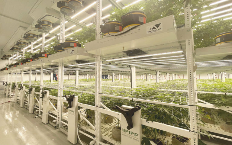 Better by Design: Maximizing Your Cultivation Facility With Smart Planning