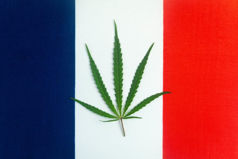 Cannabis Flower Won’t Be Included in French Medical Cannabis Program Cannabis Flower Won’t Be Included in French Medical Cannabis Program