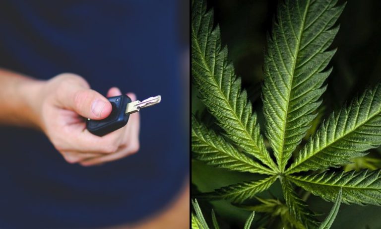 Federal Agency Says There’s ‘Little Research’ Supporting Marijuana Driving Impairment Tests Based On THC Concentration