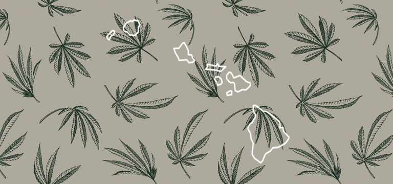 Hawaii House Lawmakers Advance Cannabis Sales Bill