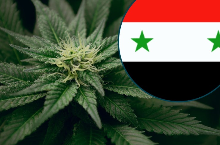 Is Weed Legal in Syria?