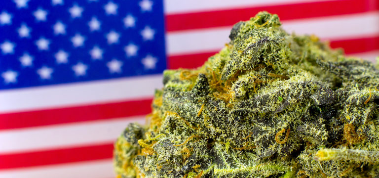 Pew Research: 88% of Americans Support Some Form of Cannabis Legalization Pew Research: 88% of Americans Support Some Form of Cannabis Legalization
