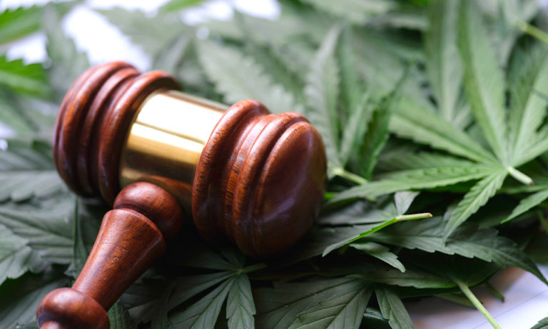 President Biden Advocates Cannabis Reform