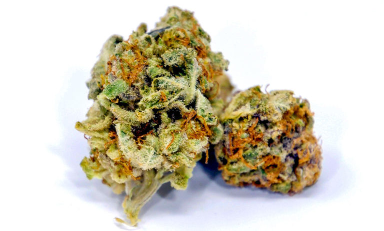 The Sedative Strain That Will Help You Unwind The Sedative Strain That Will Help You Unwind