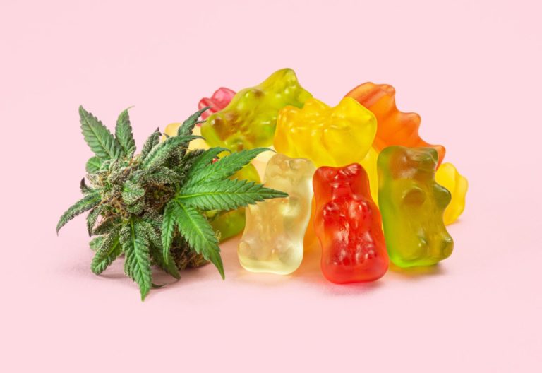 Unwrapping the Legal Battles Against Cannabis Edibles