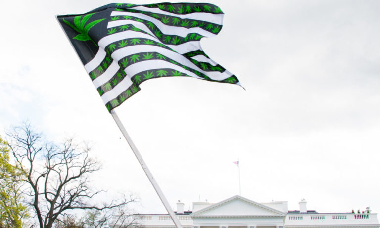 Vice President Harris Criticizes Cannabis Classification Vice President Harris Criticizes Cannabis Classification