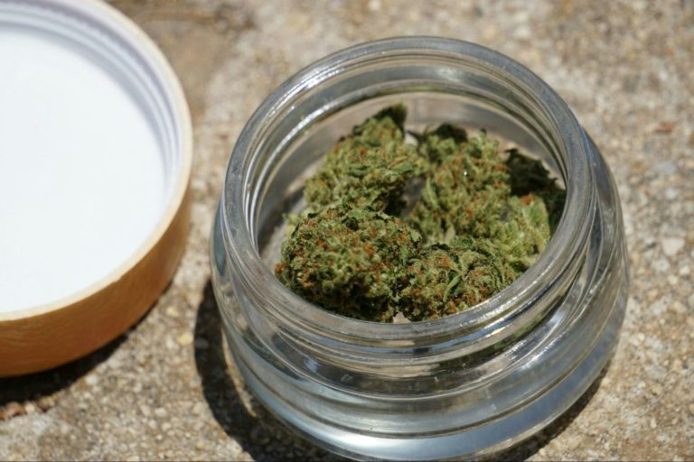 What is THCA? Is it safe? Is it legal? What is THCA? Is it safe? Is it legal?