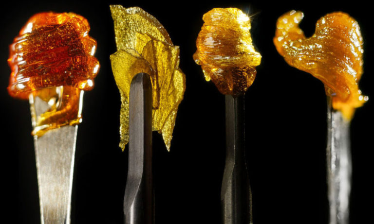 A Beginner’s Guide to Cannabis Concentrates