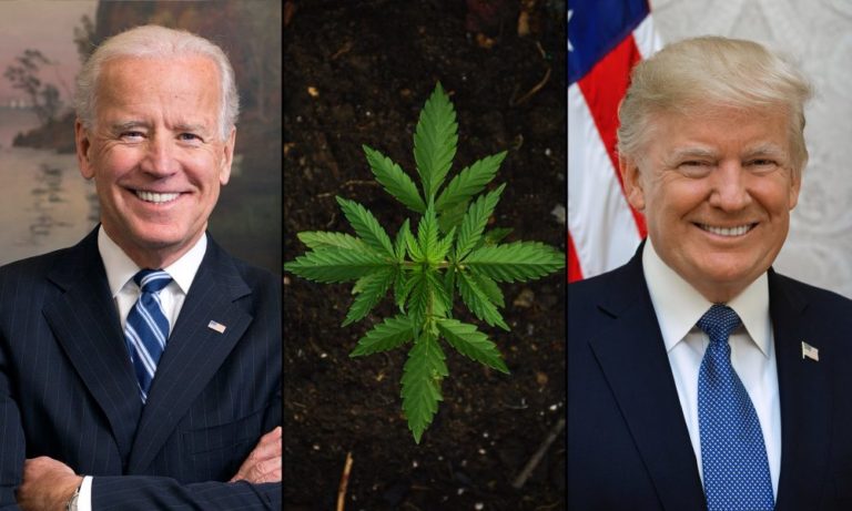 Biden Campaign Says Trump ‘Took Marijuana Reform Backwards’ By Rescinding Enforcement Memo, Despite Current Admin Failing To Reinstate It