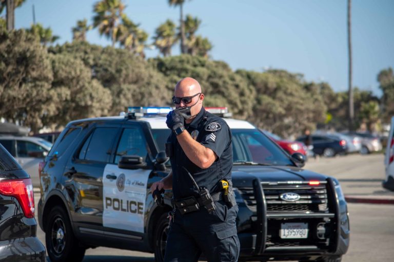 California Task Force Seized $53 Million in Illegal Cannabis in Q1 2024