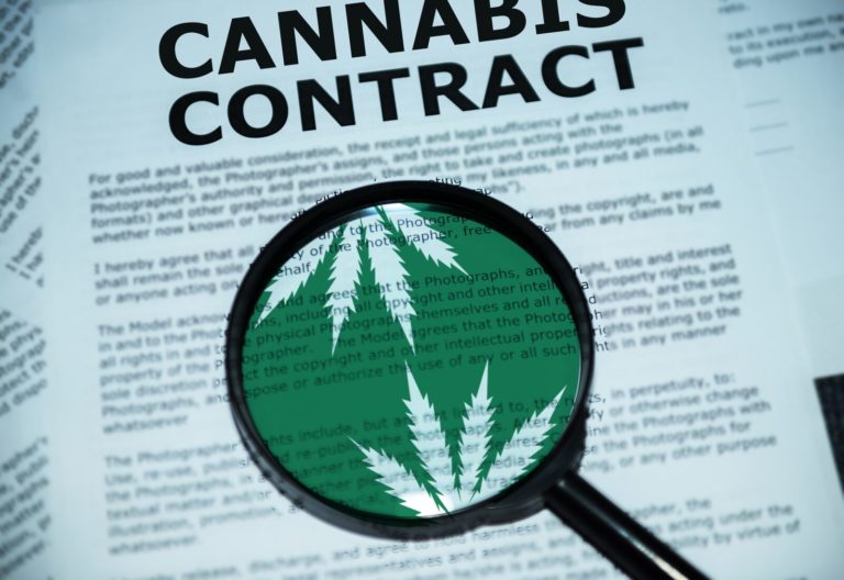 Cannabis Contracts 101: Authority and Why it Matters Cannabis Contracts 101: Authority and Why it Matters