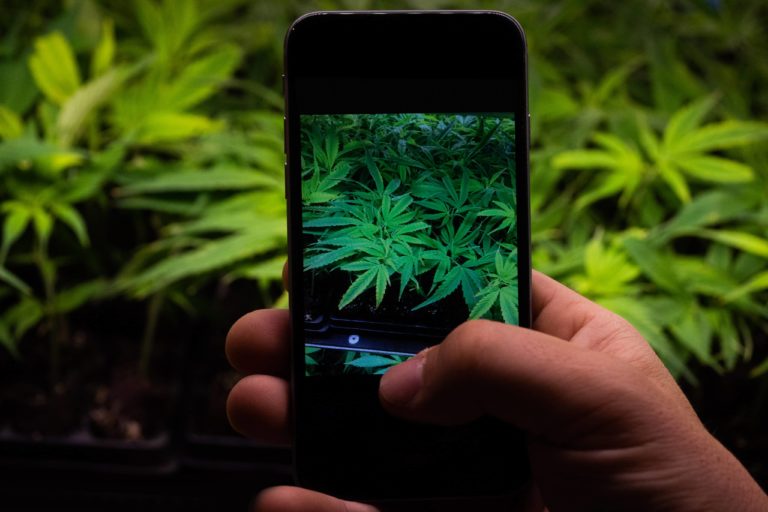 Colorado Bill Banning Social Media MJ, Drug Posts Raises Constitutional Concerns Colorado Bill Banning Social Media MJ, Drug Posts Raises Constitutional Concerns