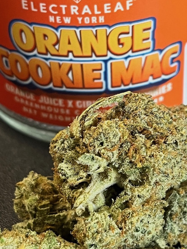 Embarking on a Journey with Orange Cookie Mac