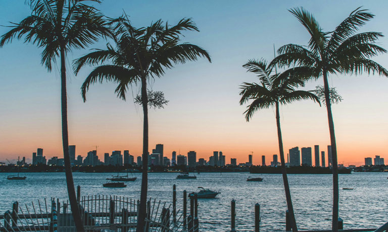 Florida Greenlights Adult-Use Cannabis Referendum