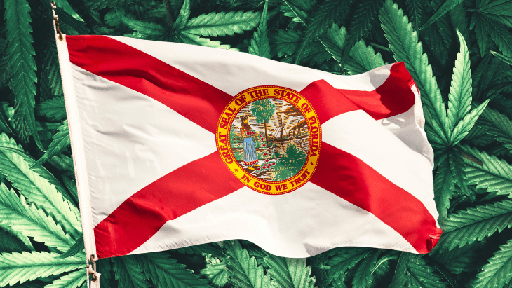 Florida: Voters Will Decide Marijuana Sales Measure This November Florida: Voters Will Decide Marijuana Sales Measure This November