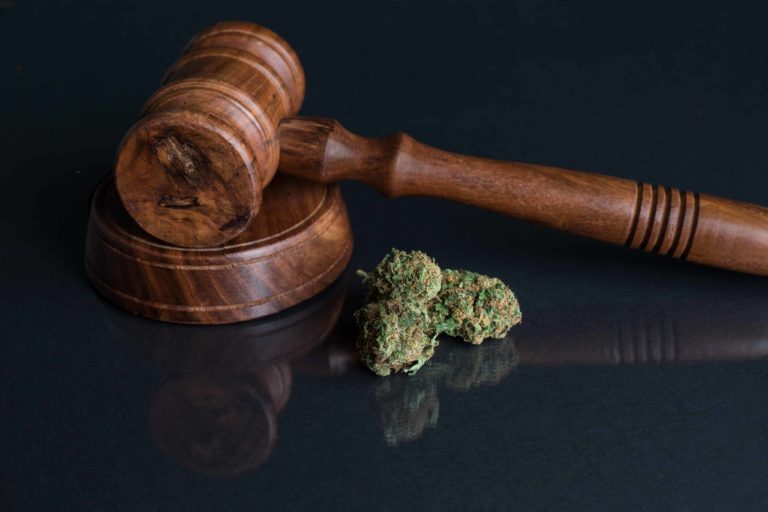 New York Judge Strikes Down Cannabis Marketing Rules