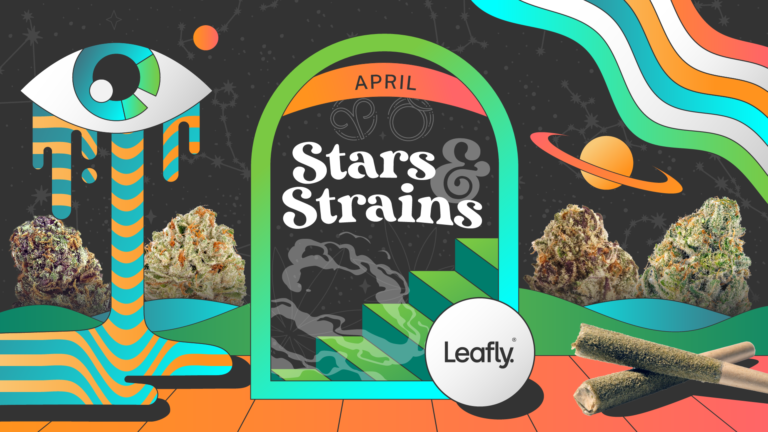 Star signs and cannabis strains: March 2024 horoscopes Star signs and cannabis strains: March 2024 horoscopes