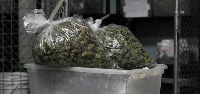 Study: About 60% of Utah Medical Cannabis Patients Obtain Products from Unregulated Sources