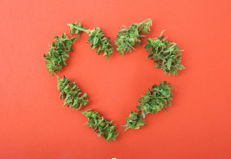 California Awards $12 Million In Local Cannabis Equity Grants To Repair Drug War Harms