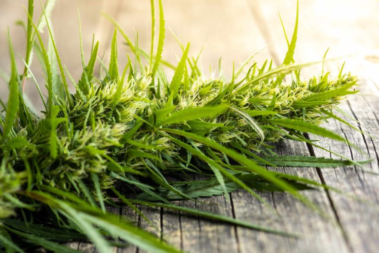 Connecticut House Approves Bill Regulating Hemp Products