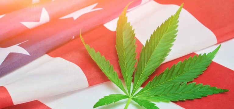 Federal Cannabis Legalization Bill Filed By Senate Democrats