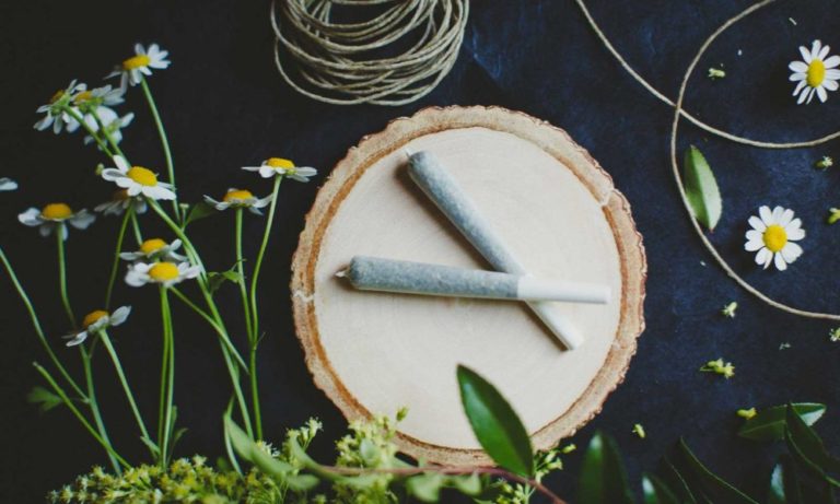 The Cannabis Now Guide to Pairing Herbs with Your Herb