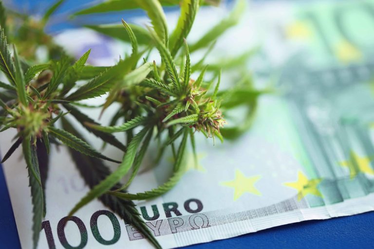 Twenty-One of 27 European Union Countries Legalized Medical Cannabis, Report Highlights