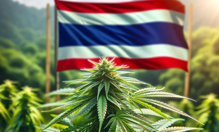 How The Lavender Boys Cannabis Brand Invaded Big Pharma