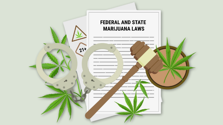 Reflecting on My Legal Internship With NORML