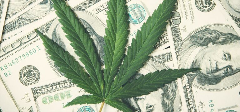 South Dakota Increases Medical Cannabis License Fees 70%