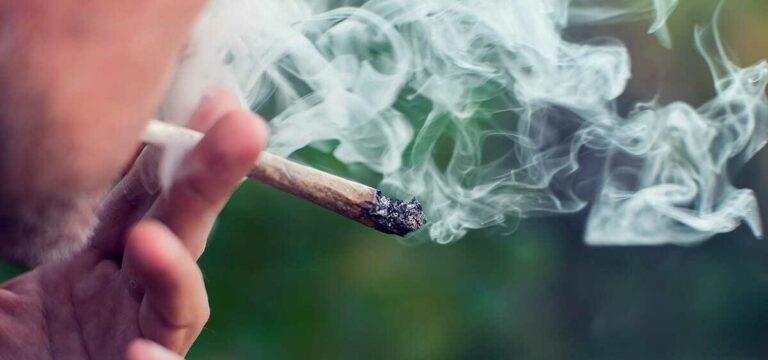 Study: Americans Are Using More Cannabis and Tobacco, Especially Older Adults