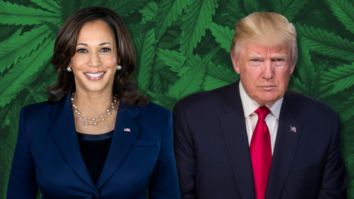 We Need To Stop Arresting People for Marijuana We Need To Stop Arresting People for Marijuana