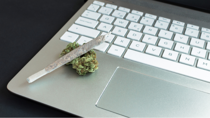 Adults Seeking Marijuana-Related Advice Seldom Refer to Healthcare Providers or Government Agencies Adults Seeking Marijuana-Related Advice Seldom Refer to Healthcare Providers or Government Agencies