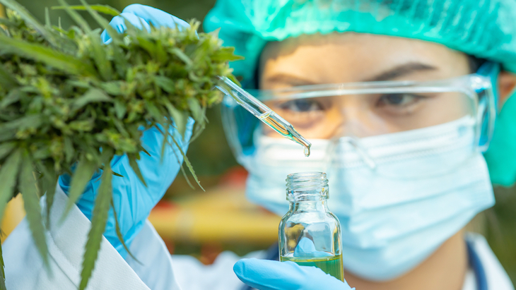What We Know About Cannabis Far Exceeds What We Don’t What We Know About Cannabis Far Exceeds What We Don’t